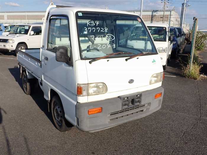 26206